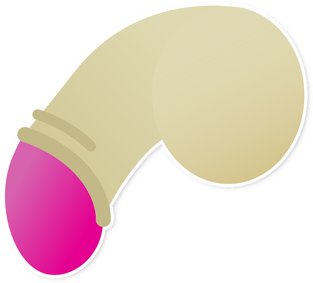 Animated Penis drawing